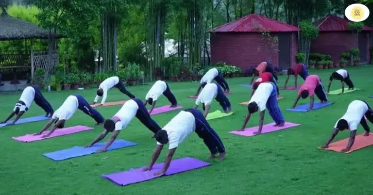 Best Yoga Classes in Tehri