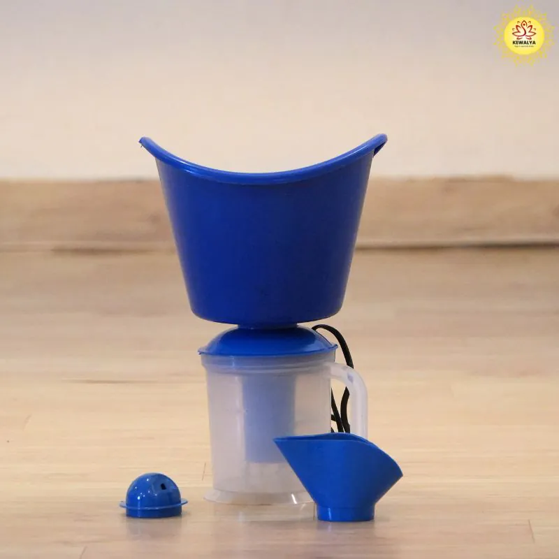 steam inhaler vaporizer